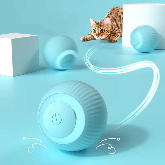 Bola Para Gato