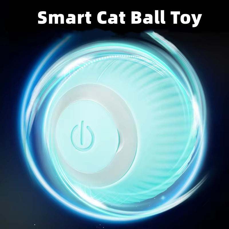 Bola Para Gato