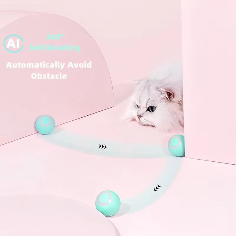 Bola Para Gato